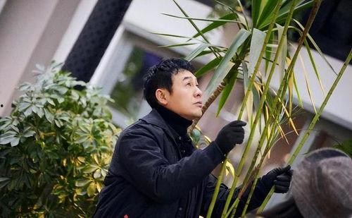 娱乐吃瓜酱张颂文,娱乐吃瓜酱的幕后故事